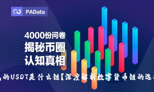 虎符钱包的USDT是什么链?深度解析数字货币链的选择与影响