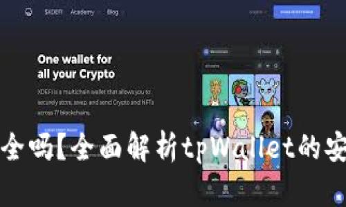 tpWallet安全吗?全面解析tpWallet的安全性与风险