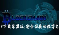 数字钱包APP下载苹果版：安全便捷的数