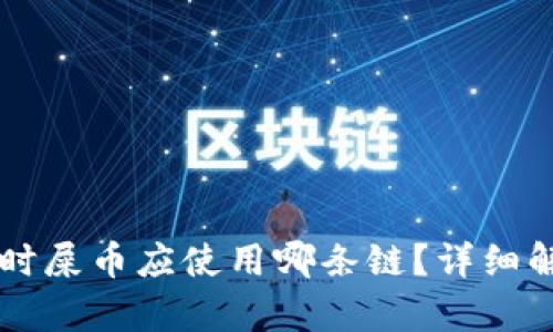 选择TPWallet时屎币应使用哪条链?详细解析及选链指南