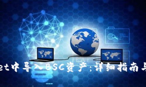 如何在tpWallet中导入BSC资产:详细指南与常见问题解答