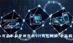 如何获取和管理您的Bit钱包地址：全面