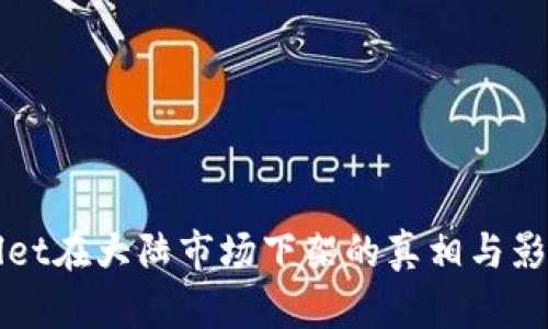 tpWallet在大陆市场下架的真相与影响分析