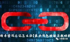 比特币密码忘记怎么办？最大钱包破解