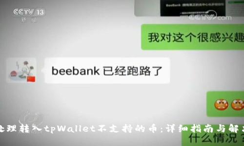 如何处理转入tpWallet不支持的币:详细指南与解决方案