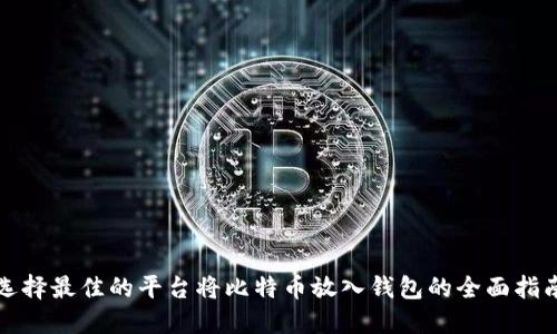 选择最佳的平台将比特币放入钱包的全面指南