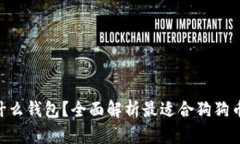 baioti狗狗币存什么钱包？全面解析最适