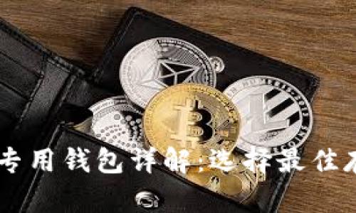 : USDT专用钱包详解：选择最佳存储方式