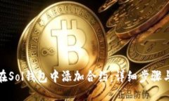 如何在Sol钱包中添加合约：详细步骤与