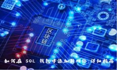 如何在 SOL 钱包中添加新网络：详细指