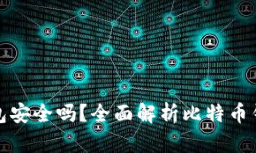 存比特币钱包安全吗？全面解析比特币钱包的安全性