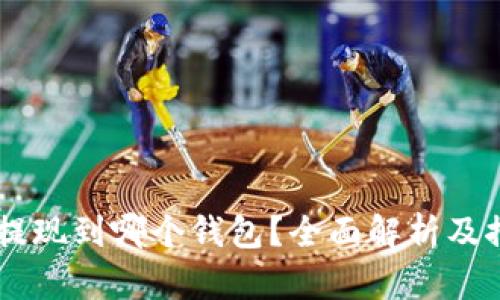 SHIB币可以提现到哪个钱包？全面解析及推荐钱包选择