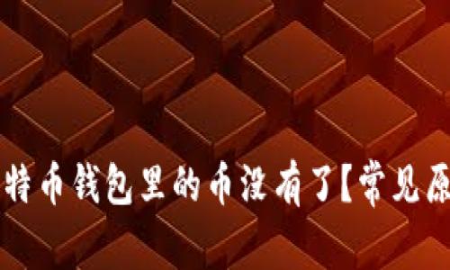 为什么我的比特币钱包里的币没有了？常见原因及解决方法