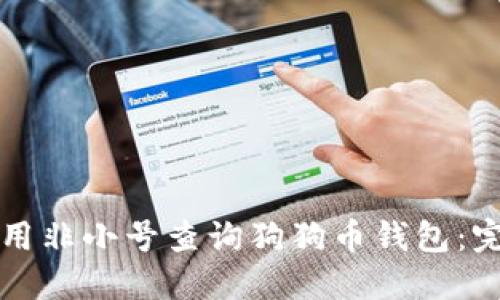 如何使用非小号查询狗狗币钱包：完整指南
