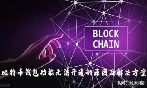 比特币钱包功能无法开通的原因及解决方案