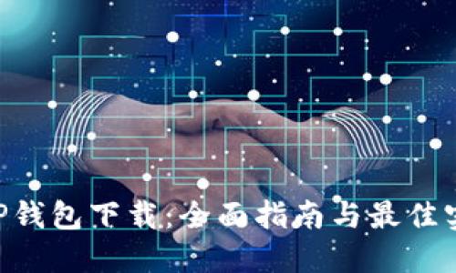 XRP钱包下载：全面指南与最佳实践