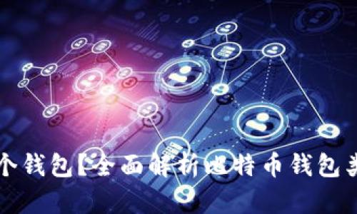 比特币装在哪个钱包？全面解析比特币钱包类型与选择指南