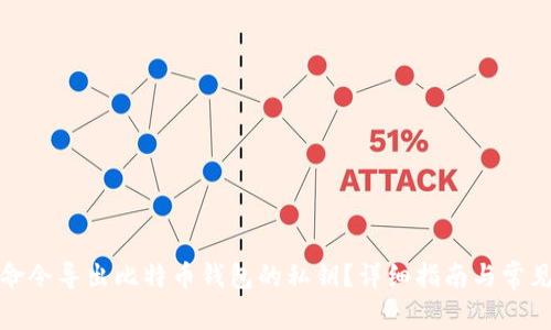 如何通过命令导出比特币钱包的私钥？详细指南与常见问题解答