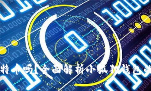 小狐狸钱包能存比特币吗？全面解析小狐狸钱包的数字资产存储功能