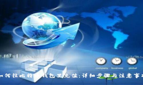 如何往比特币钱包里充值：详细步骤与注意事项