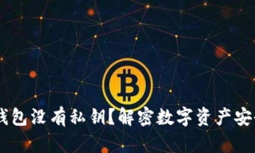 USDT钱包没有私钥？解密数字资产安全之道