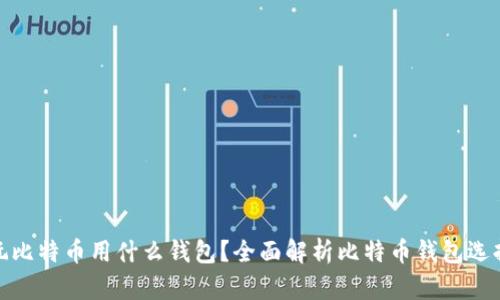 玩比特币用什么钱包？全面解析比特币钱包选择