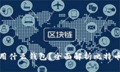 玩比特币用什么钱包？全面解析比特币