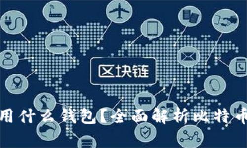 玩比特币用什么钱包？全面解析比特币钱包选择