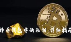 如何查看比特币钱包中的私钥：详细指