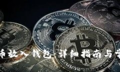 如何将狗狗币放入钱包：详细指南与常