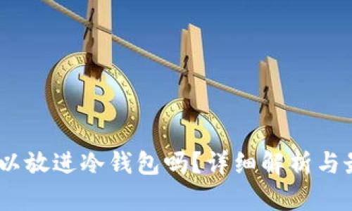 USDT可以放进冷钱包吗？详细解析与最佳实践