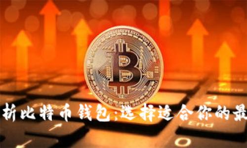 深入解析比特币钱包：选择适合你的最佳选项