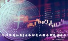比特币钱包是否可以没有私钥？全面解
