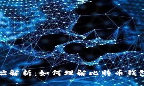 比特币钱包地址解析：如何理解比特币钱包地址的多样性