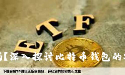 比特币钱包安全吗？深入探讨比特币钱包的安全性与保护措施