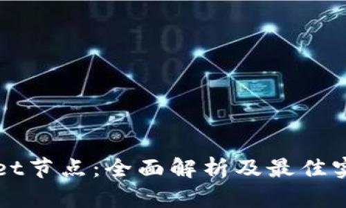 tpWallet节点：全面解析及最佳实践指南