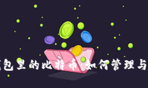 分叉后在钱包里的比特币：如何管理与投资新币种