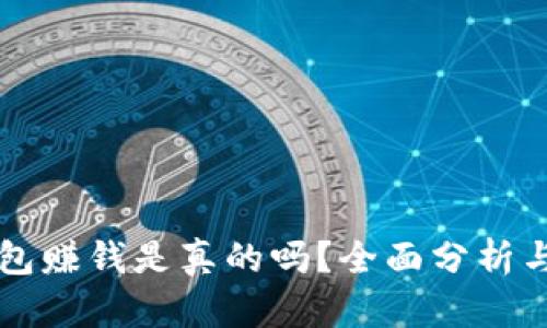 以太坊钱包赚钱是真的吗？全面分析与实战指南