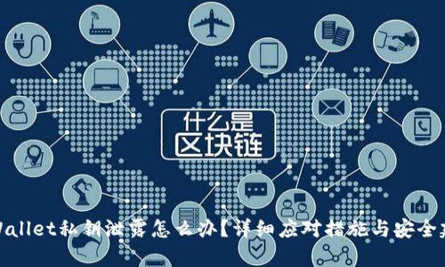 tpWallet私钥泄露怎么办？详细应对措施与安全建议