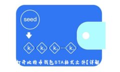 如何打开比特币钱包BTA格式文件？详解