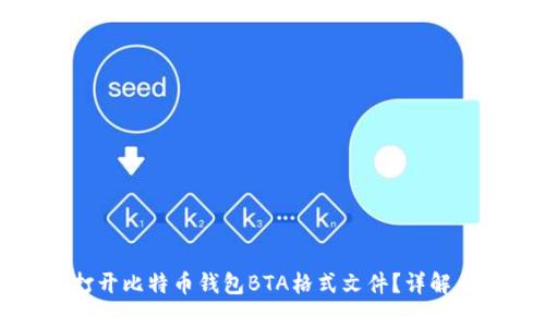 如何打开比特币钱包BTA格式文件？详解与指南