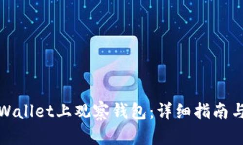 如何从tpWallet上观察钱包：详细指南与实用技巧