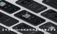 麦子钱包USDT到账延迟的原因与解决方