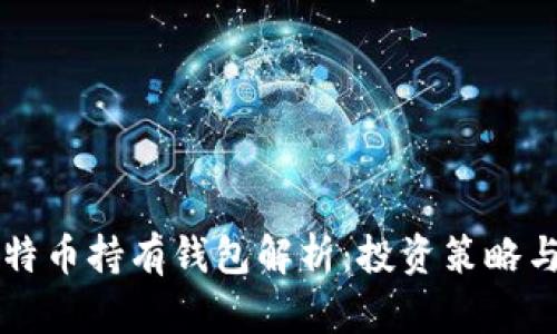 特斯拉比特币持有钱包解析：投资策略与未来展望