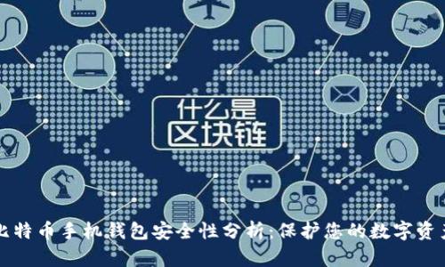 比特币手机钱包安全性分析：保护您的数字资产