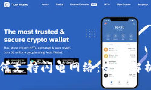 tpWallet如何支持闪电网络：全面解析与使用指南