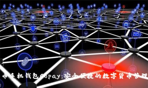比特币手机钱包Copay：安全便捷的数字货币管理工具