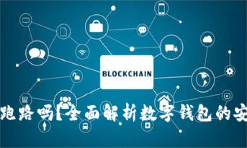 tpWallet会跑路吗？全面解析数字钱包的安全性与风险