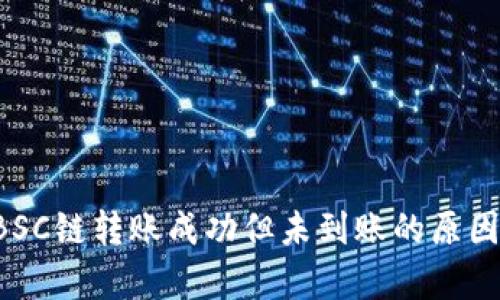 tpWallet BSC链转账成功但未到账的原因及解决方案