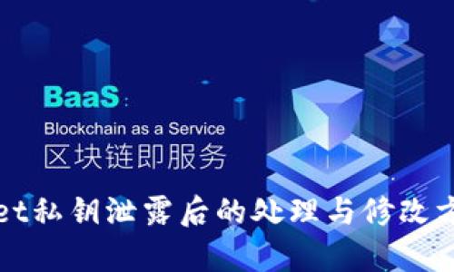 tpWallet私钥泄露后的处理与修改方法详解